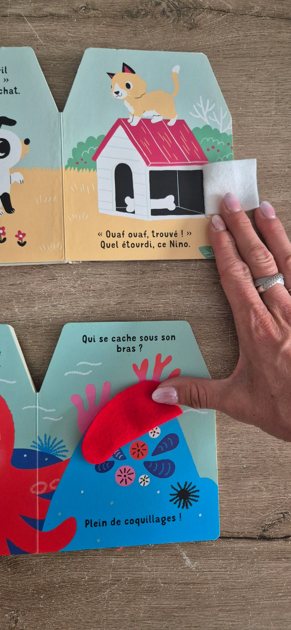 Lote de livros Cache-cache em feltro – photo 10